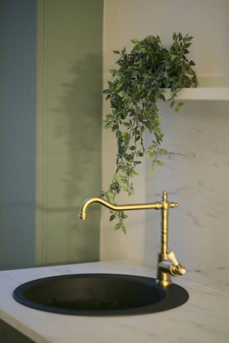 Royal Room jacuzzi haut de gamme centre ville Mulhouse Extérieur photo