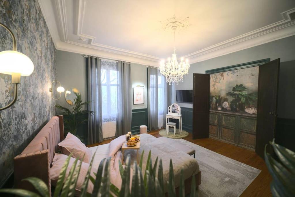 Royal Room jacuzzi haut de gamme centre ville Mulhouse Extérieur photo